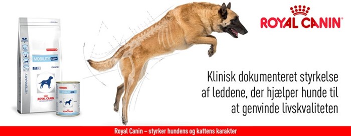 Mobility fra Royal Canin og J/D fra Hill´s anbefaler vi til hunde med ledprobler som fx gigt. Sammen med vores ledbehandling, har det en fantastisk effekt, og gør livet nemmere og smertefrit for rigtig mange af vores patienter.